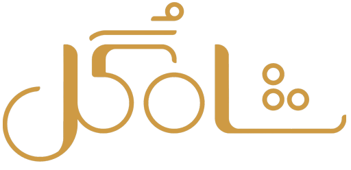 دانلود سریال شاه گل با اجرای مهران مدیری کامل | قسمت 1 تا 4